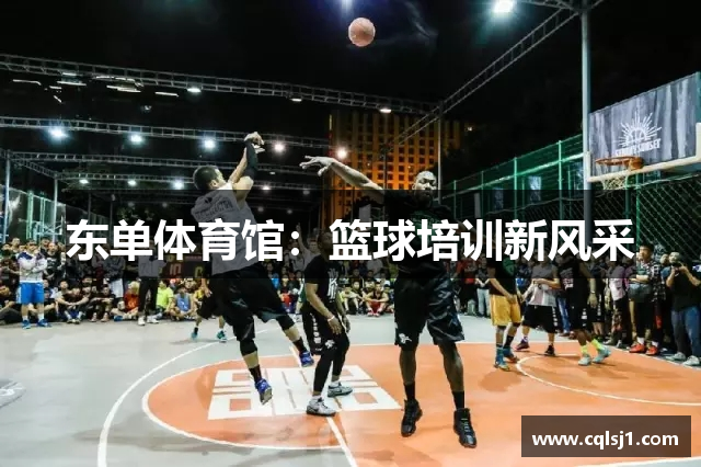 东单体育馆：篮球培训新风采